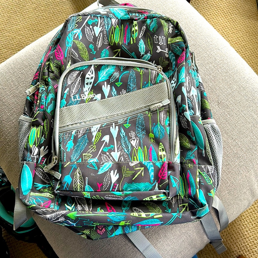 LL Bean backpack, large